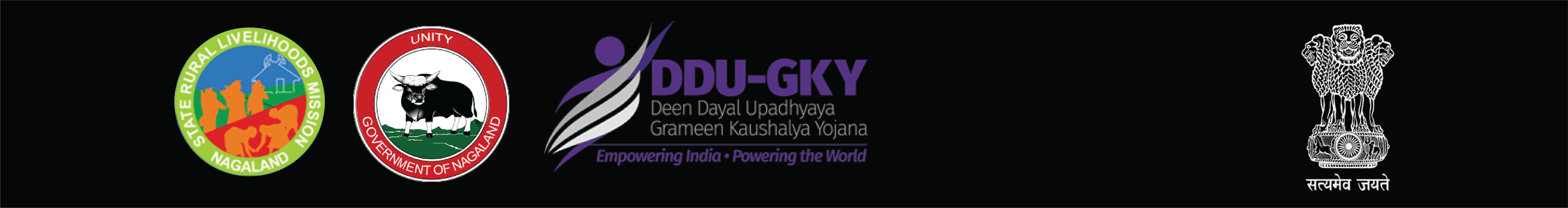 DDUGKY HEADER LOGO